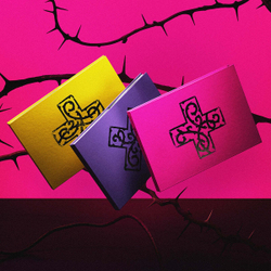 Альбом TXT - 7TH YEAR: A Moment of Stillness in the Thorns