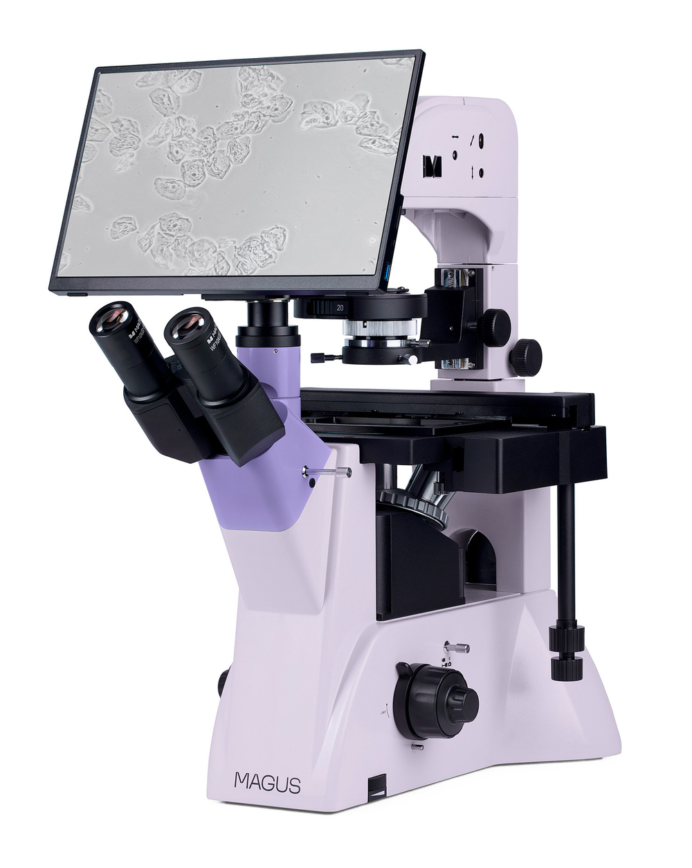 Микроскоп биологический инвертированный цифровой MAGUS Bio VD350 LCD
