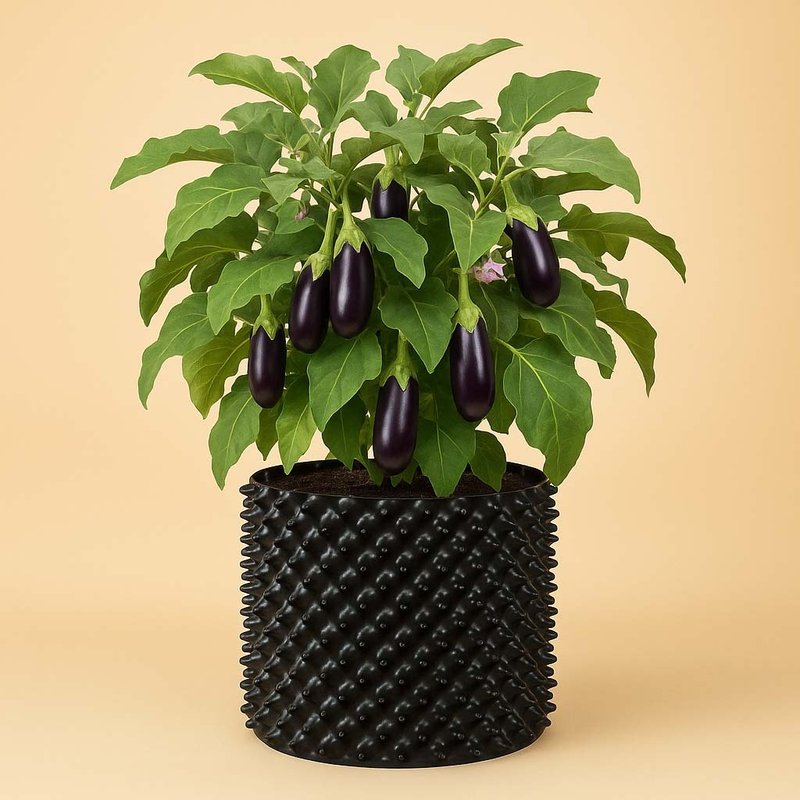 Горшок с перфорацией AERO POT, 150 л