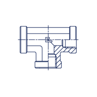 21 T-ОБРАЗНЫЕ BSP