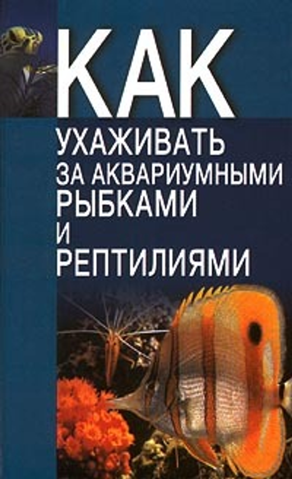 Как ухаживать за аквариумными рыбками и рептилиями