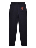 Спортивные штаны Guess - темно-синий(L93Q24 KAUG0)