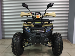 Квадроцикл PROMAX WILD 2.0 190 PRO (2025)