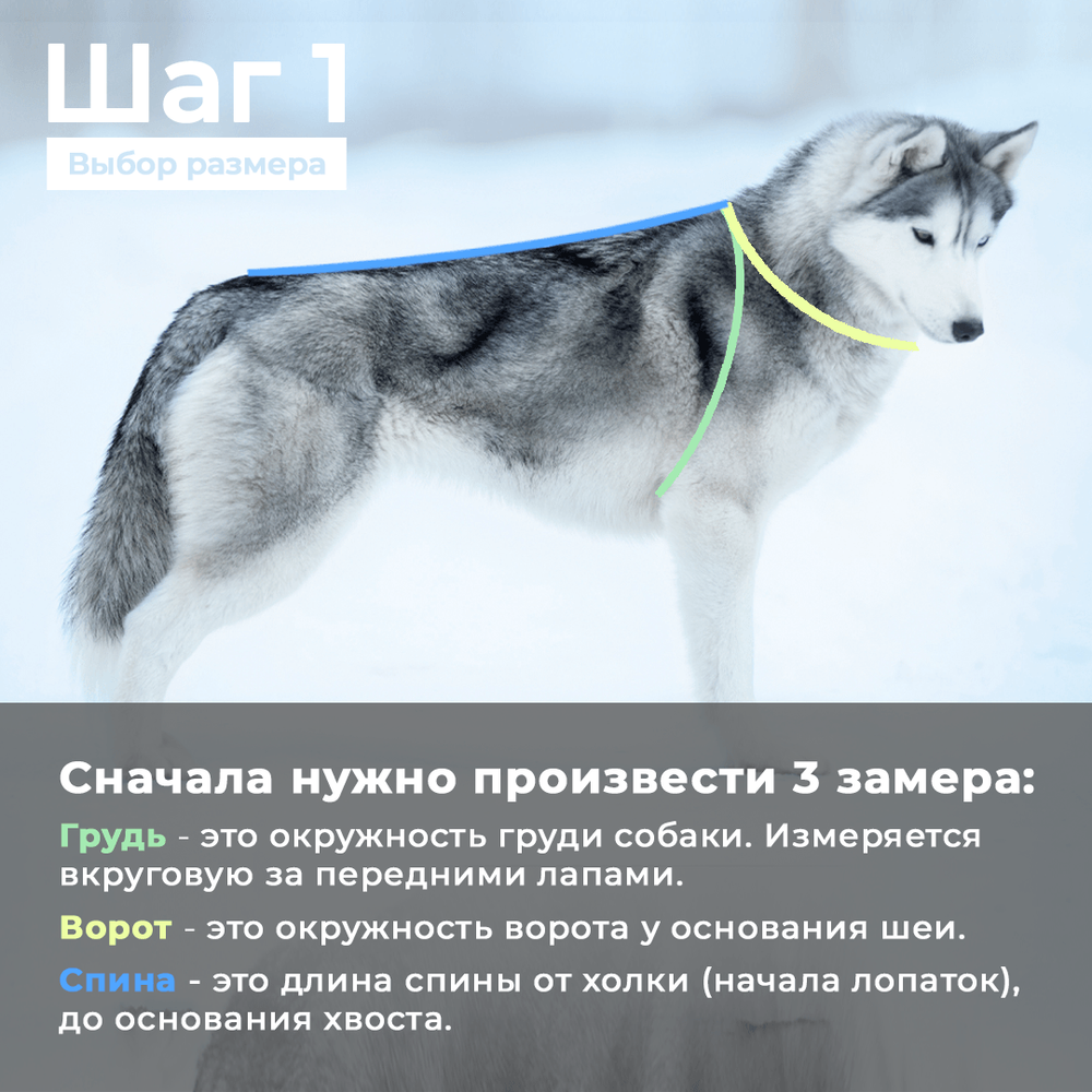 Комбинезон зимний для собаки White Wolf вырез на девочку лимонно-серый с принтом