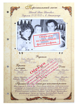 Родословная книга Художественная (бордо) в картонной коробке