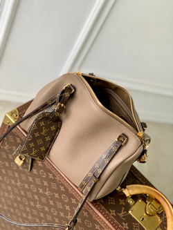 Louis Vuitton Bag 25 cm
