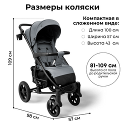 Прогулочная коляска BubaGO Model ONE