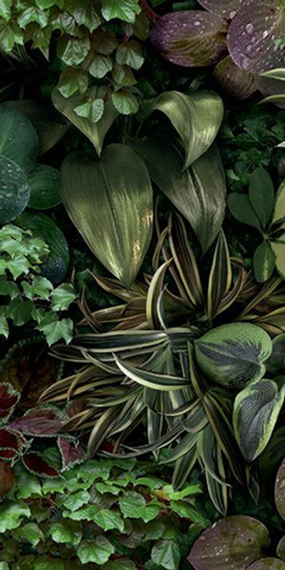 Керамогранит PAPER41 PRO Jane B (4100152)