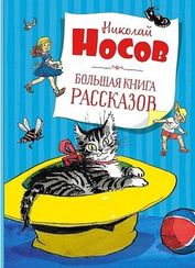 Большая книга рассказов. Носов