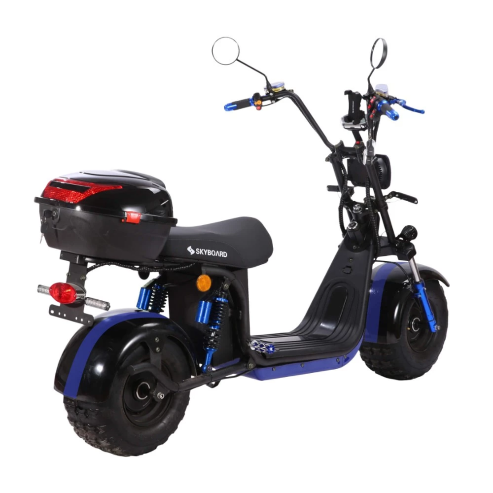 Электроскутер Skyboard Volga BR20 2WD 4000W CityCoco Черный