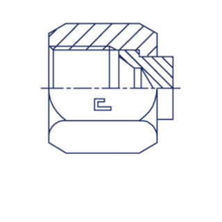 Заглушка V (Г) JIC 1.7/8