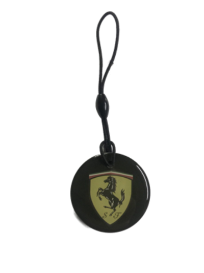 Заготовка домофонная EPOXY чип Н5.5 FERRARI (на резинке)