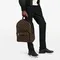 Рюкзак Louis Vuitton Josh канва Monogram Macassar коричневый