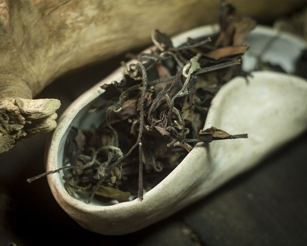 Лао Шоу Мей 2018 г