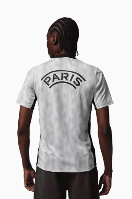 Футболка Nike PSG x Jordan 25/26 Academy Pro Night Edition - серый