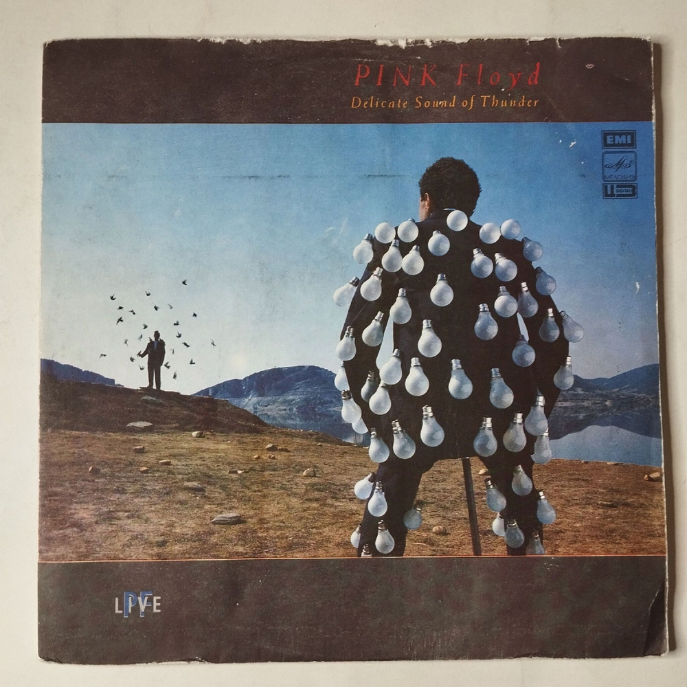 Винтажная виниловая пластинка LP Pink Floyd Delicate Sound Of Thunder (СССР 1990) Time