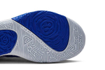 Кроссовки Nike Freak 1 Zoom "Greece"