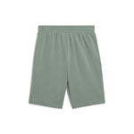 Мужские шорты PUMA ESS 2 COLOR Logo Shorts