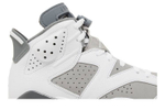 Кроссовки Jordan Air Jordan 6 "Cool Grey"