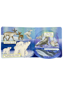 Double-Flap Book: Moms and Babies