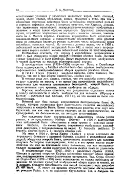 Сборник статей по бруцеллезу. Выпуск 1 | Нет автора