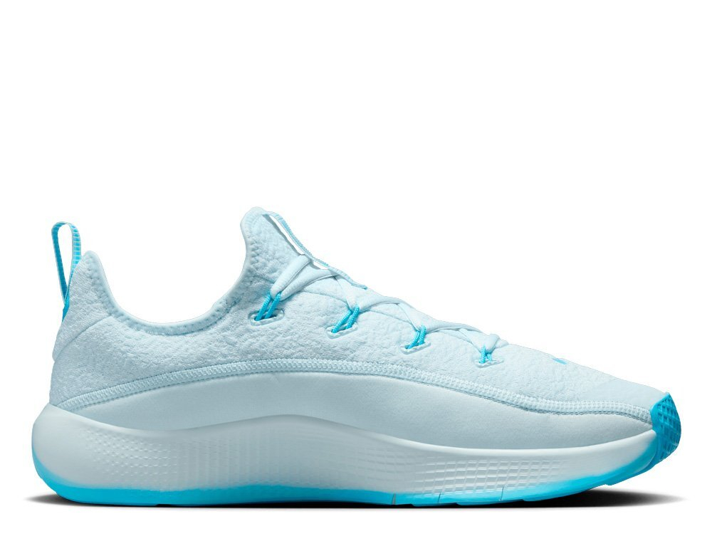 Баскетбольные кроссовки Nike LeBron TR 1 Blue Shoes