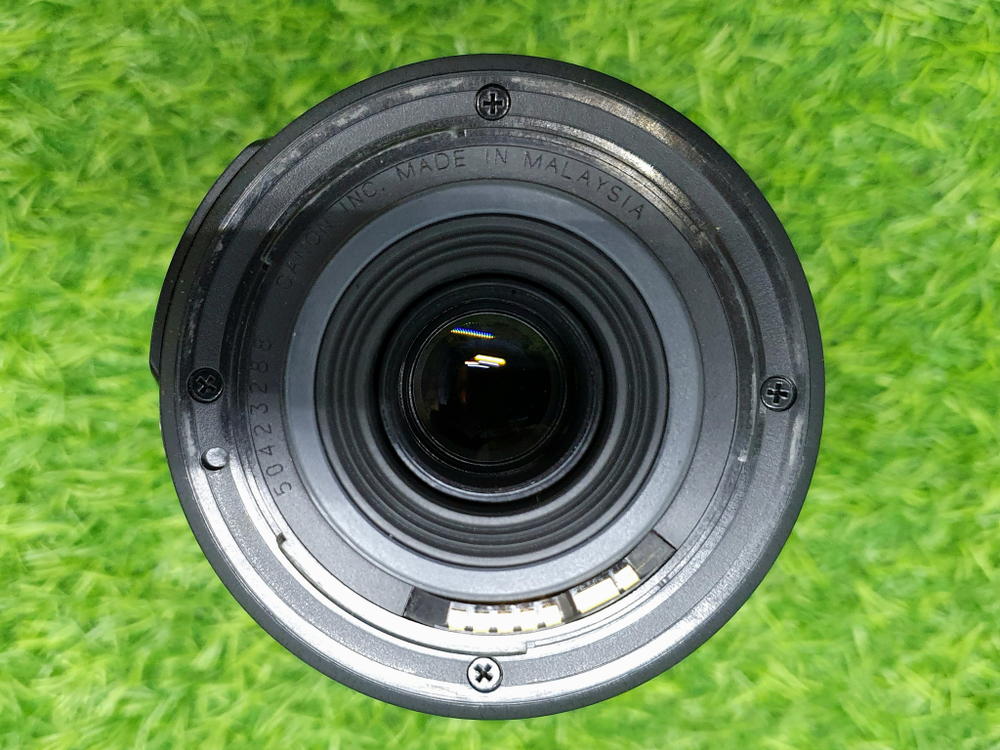 Canon EF-S 55-250mm 4-5.6 Покупка/Продажа