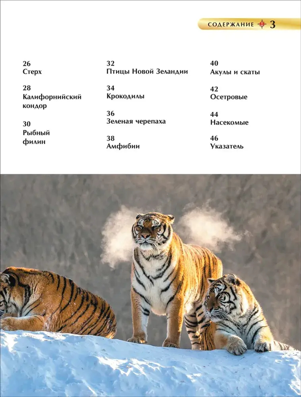 Красная книга. Детская энциклопедия