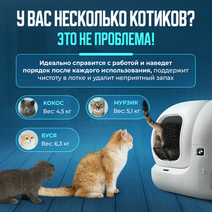 Автоматический лоток с AI камерой PUROBOT MAX PRO PETKIT
