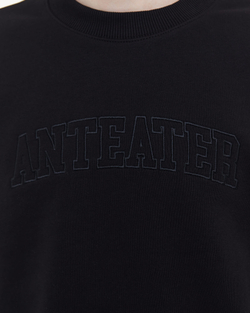 Толстовка ANTEATER Crewneck-Black