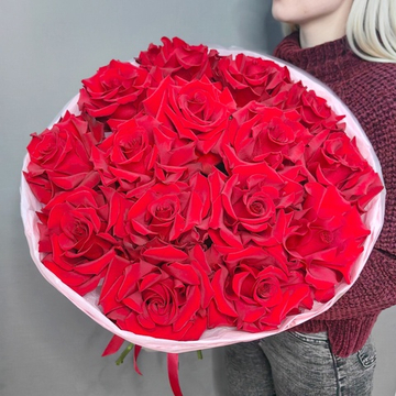 Букет из 15 французских красных роз сорта "Эксплорер" (Эквадор 60 см)