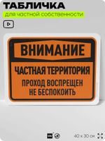 Табличка для частной территории "Внимание, частная территория", на дом, для участка, организаций, предупреждающая, 40х30 см, Silver Plane x Айдентика Технолоджи