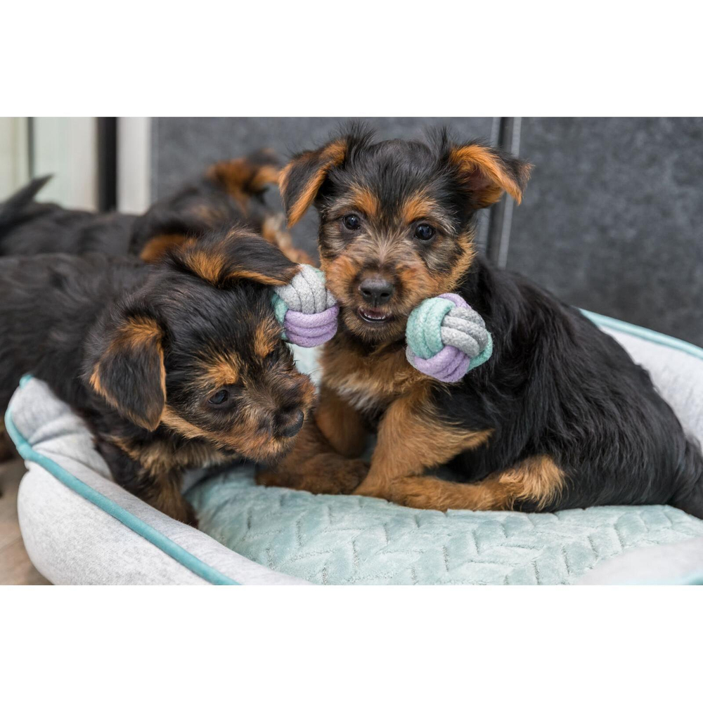 Игрушка для собак Trixie Junior , размер 15x3x1.5см.