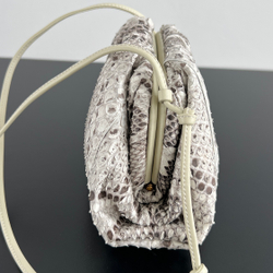 Bottega Veneta Mini Pouch 22 cm