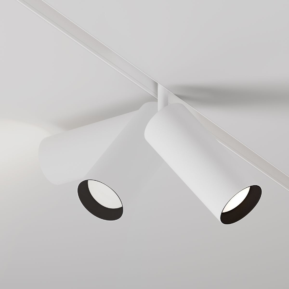 Трековый светильник Maytoni Technical TR032-2-20W3K-S-W