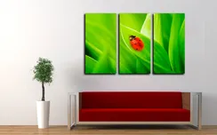 Модульная картина "Божья коровка"