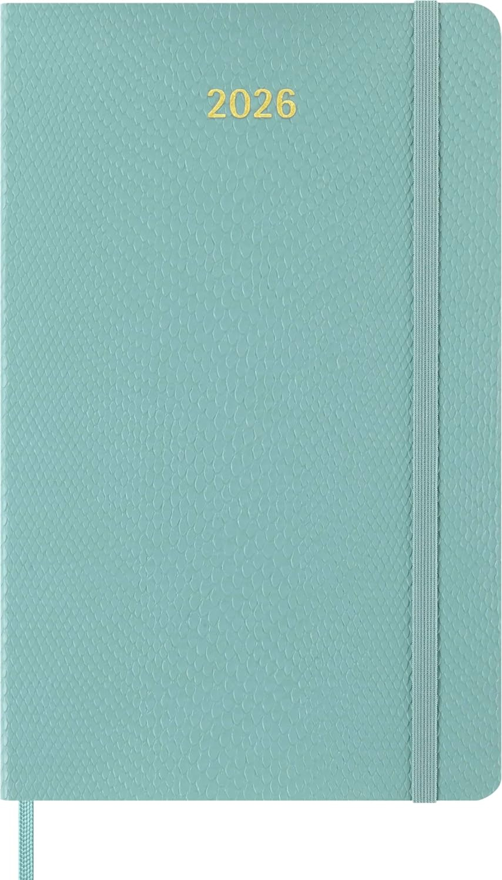 Еженедельник Moleskine PRECIOUS & ETHICAL MAMBA Large 130х210мм обложка экокожа 144стр бирюзовый (DSPRETK812WN3)