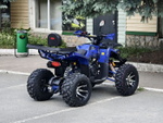 LION 200R синий