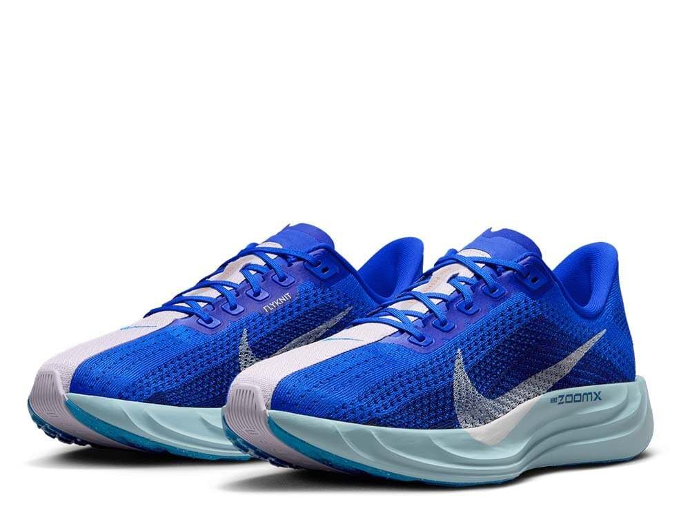 Кроссовки для бега мужские Nike Pegasus Plus M Сине-Пудровые