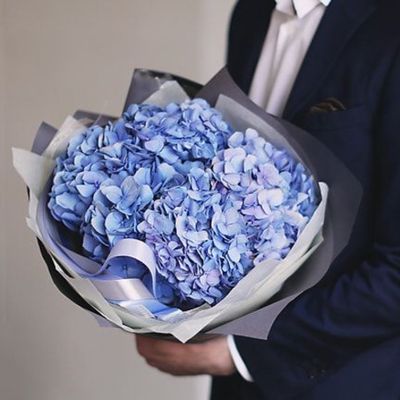 Гортензия голубая