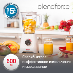 Блендер Moulinex Soleil LM355A10