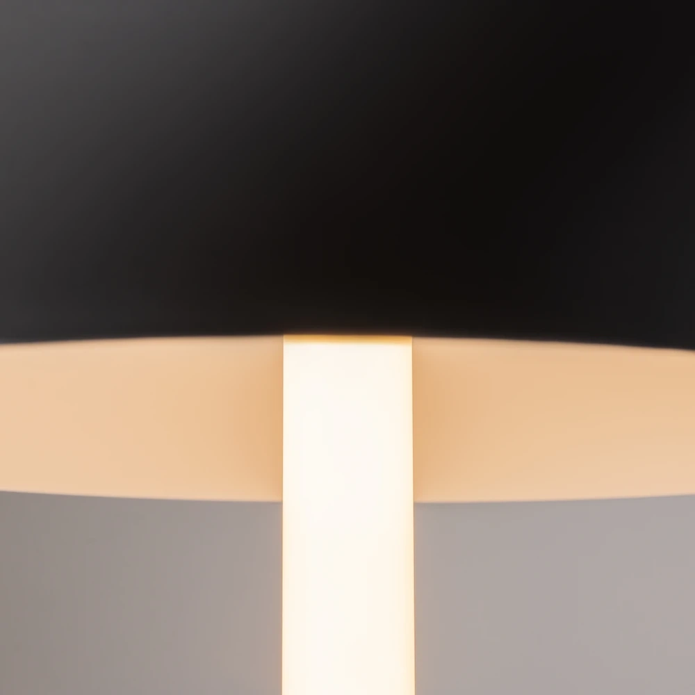 Декоративная настольная лампа Maytoni RAY Z012TL-L8B3K