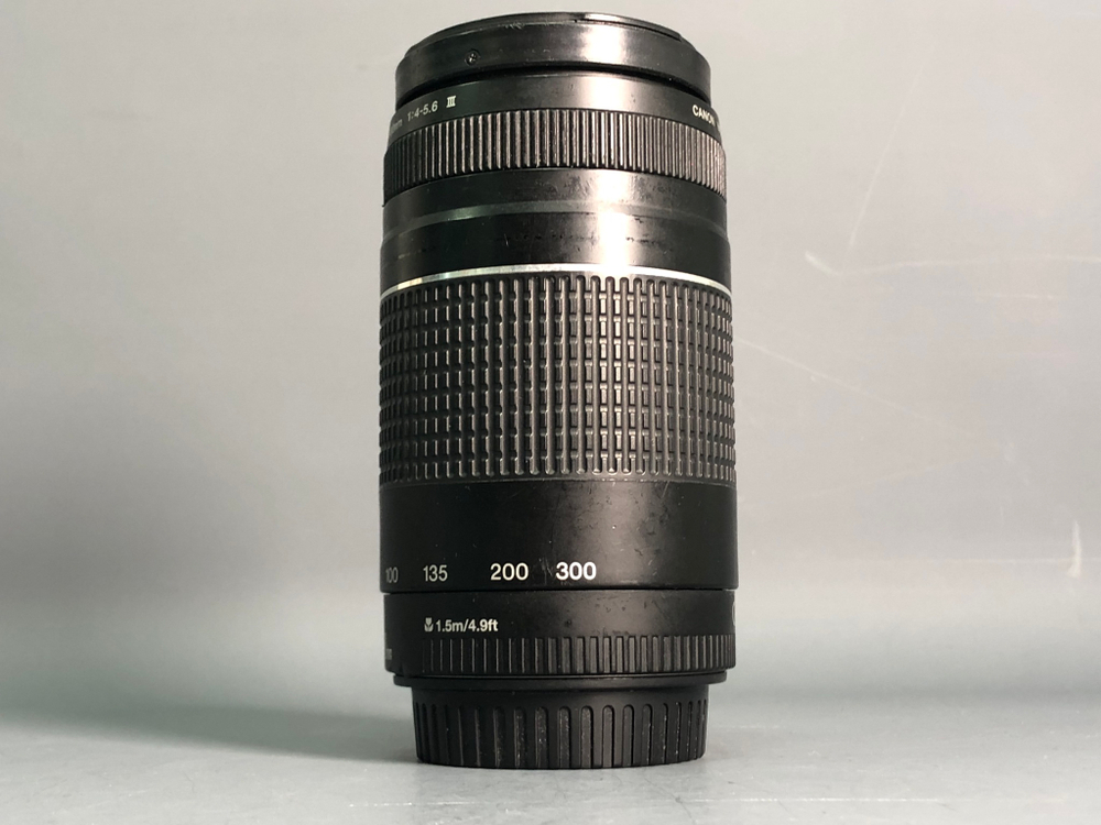 Canon EF 75-300mm 4-5.6 III