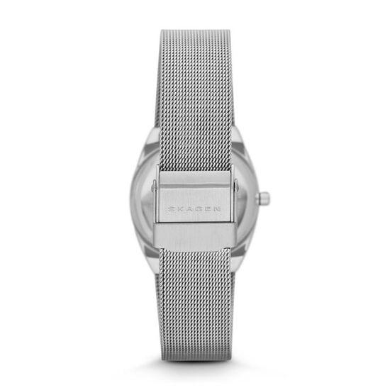 Наручные часы Skagen SKW2049