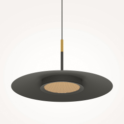 Подвесной светильник Maytoni MOD041PL-L15B3K1