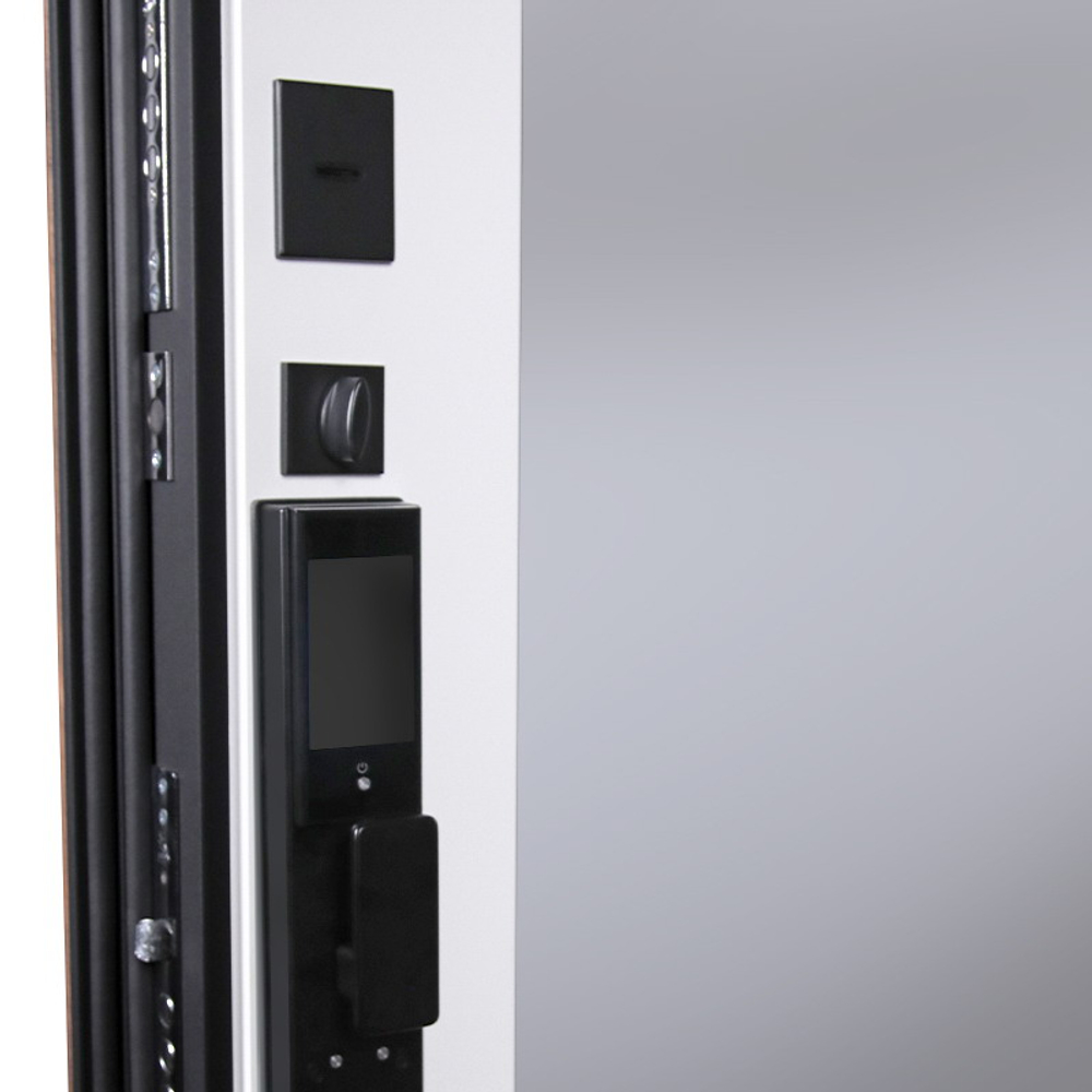 Стальная дверь "Plata" с зеркалом (биометрический замок DZ 888)