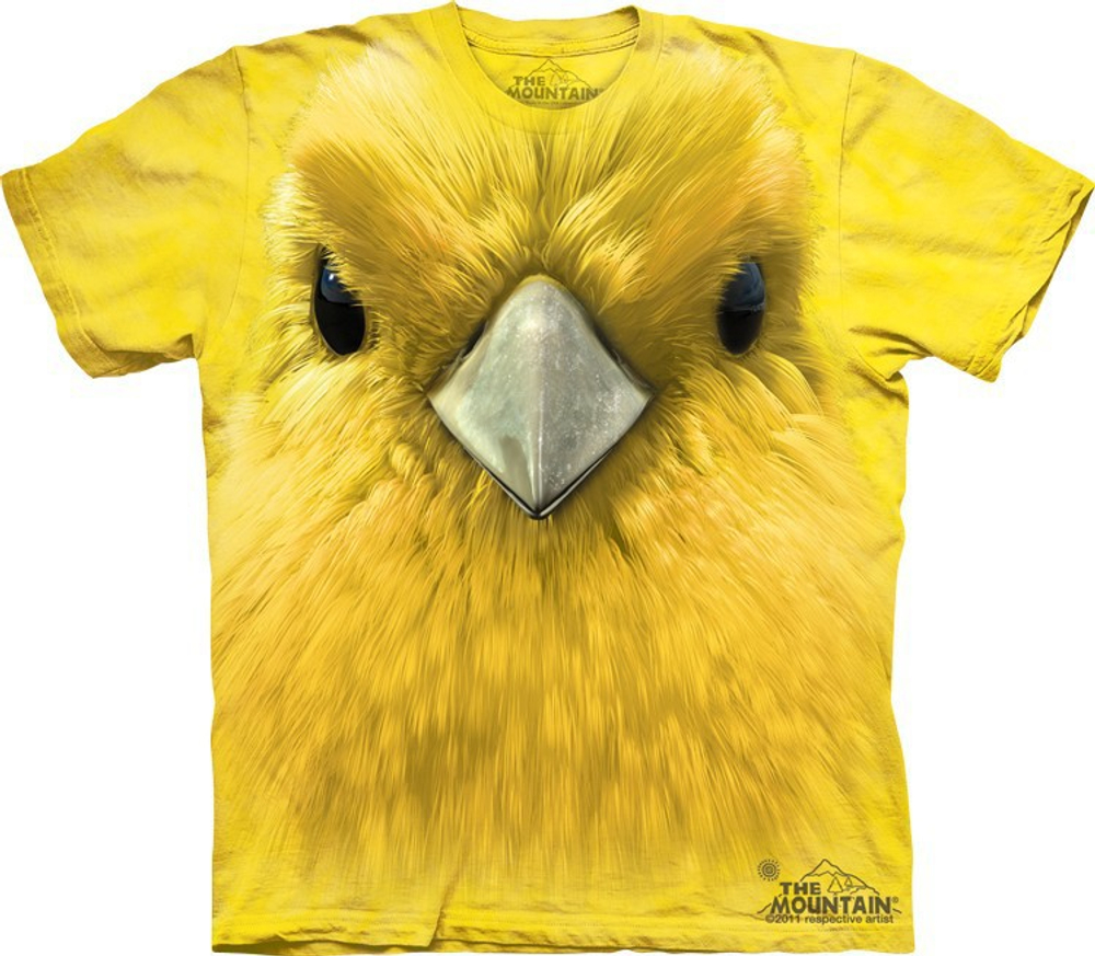 Yellow Warbler Face