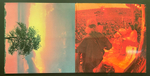 Сборник The First Great Rock Festivals Of The Seventies - Isle Of Wight / Atlanta Pop Festival 3LP (Голландия 1971г.)