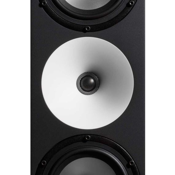 Amphion Two18 Black