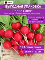 Редис Сакса